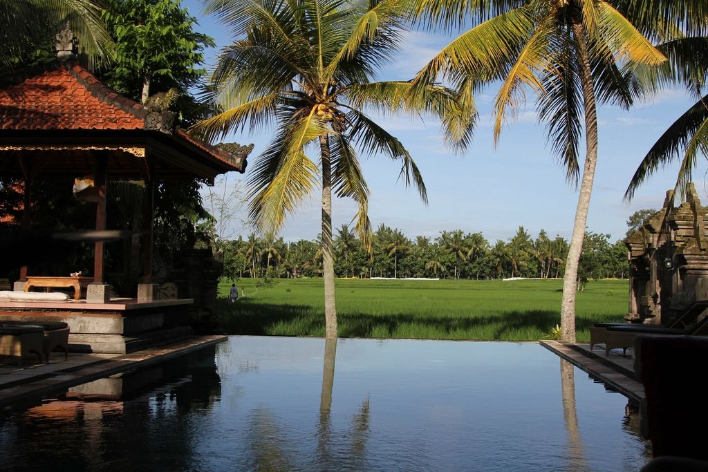 The outdoor swimming pool with loungers alongside